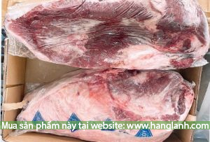 Gầu bò Kilcoy Úc