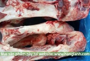 Xương ống bò Jack 1074