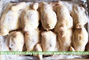 Gà nguyên con Sing Green Hàn Quốc 10